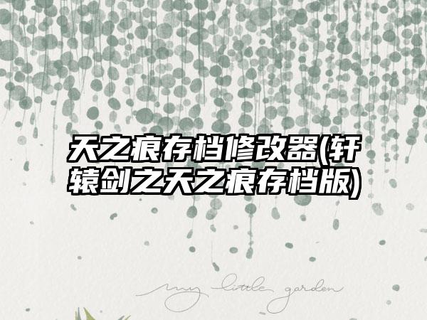 天之痕存档修改器(轩辕剑之天之痕存档版)