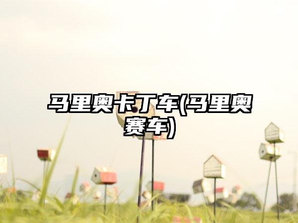 马里奥卡丁车(马里奥赛车)