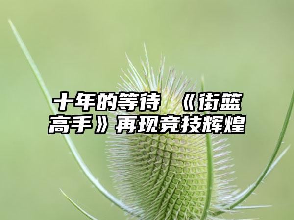 十年的等待 《街篮高手》再现竞技辉煌