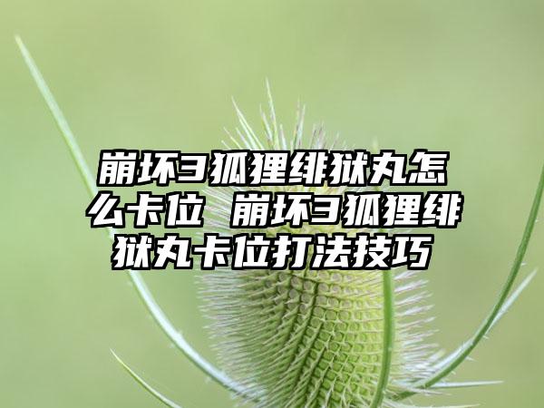 崩坏3狐狸绯狱丸怎么卡位 崩坏3狐狸绯狱丸卡位打法技巧