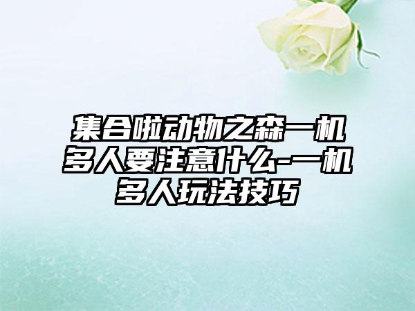 集合啦动物之森一机多人要注意什么-一机多人玩法技巧