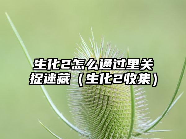 生化2怎么通过里关捉迷藏（生化2收集）
