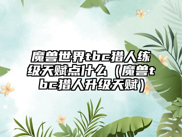 魔兽世界tbc猎人练级天赋点什么（魔兽tbc猎人升级天赋）