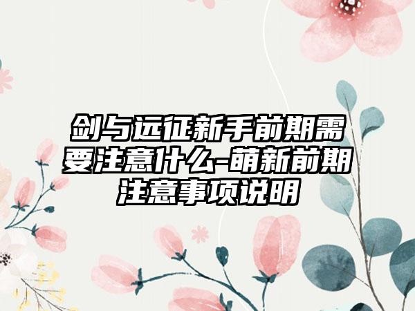 剑与远征新手前期需要注意什么-萌新前期注意事项说明