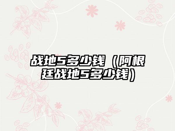 战地5多少钱（阿根廷战地5多少钱）