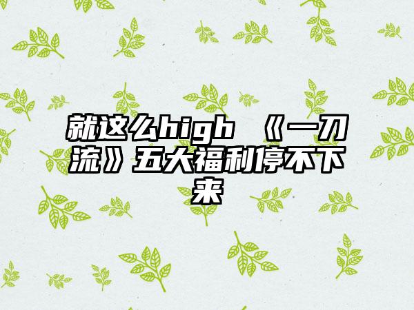 就这么high 《一刀流》五大福利停不下来