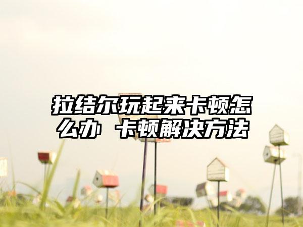 拉结尔玩起来卡顿怎么办 卡顿解决方法