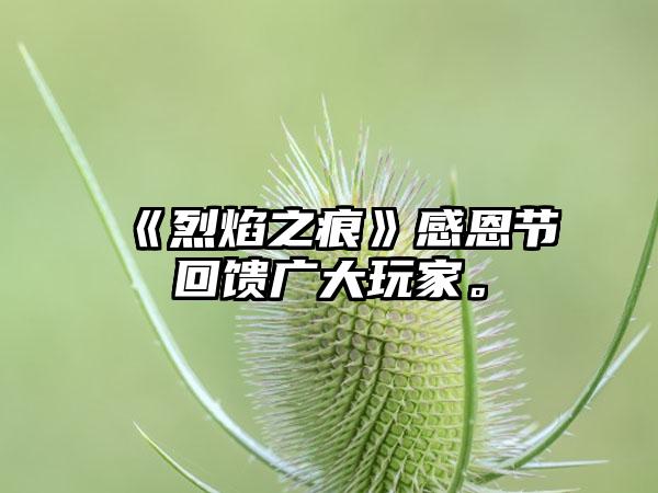 《烈焰之痕》感恩节回馈广大玩家。