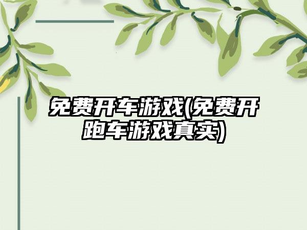 免费开车游戏(免费开跑车游戏真实)