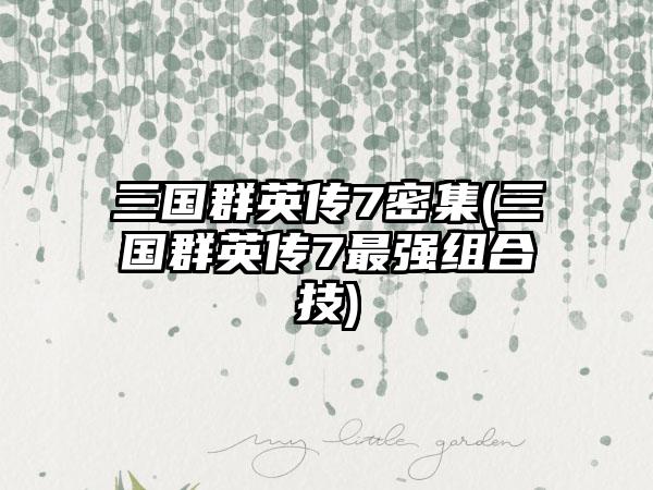 三国群英传7密集(三国群英传7最强组合技)