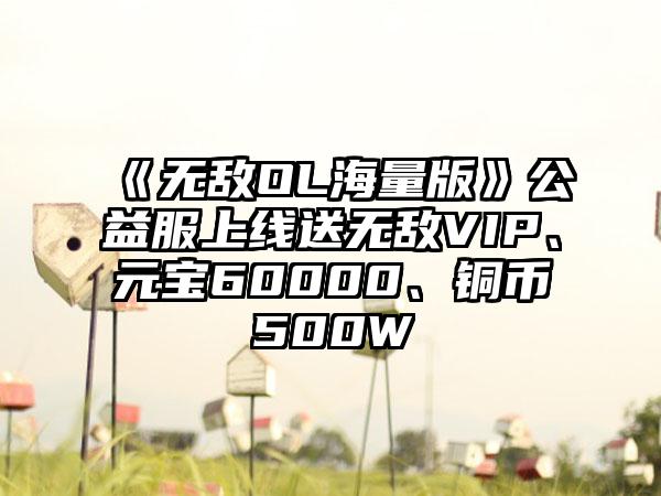 《无敌OL海量版》公益服上线送无敌VIP、元宝60000、铜币500W