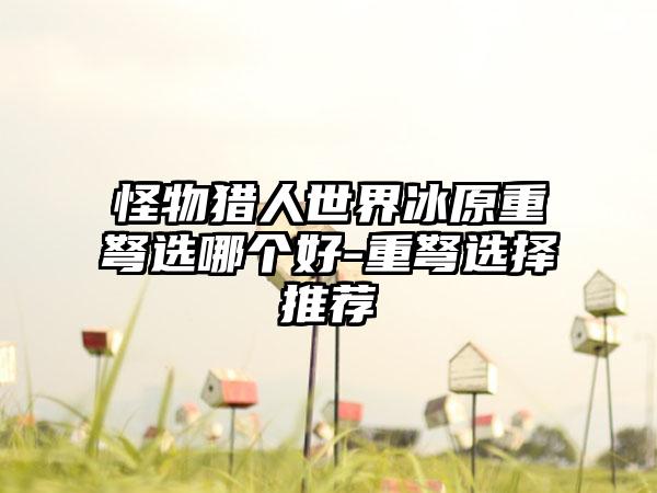 怪物猎人世界冰原重弩选哪个好-重弩选择推荐