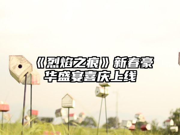 《烈焰之痕》新春豪华盛宴喜庆上线