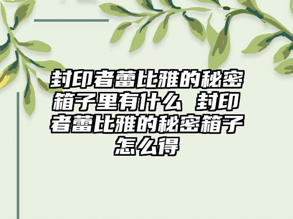 封印者蕾比雅的秘密箱子里有什么 封印者蕾比雅的秘密箱子怎么得