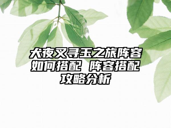 犬夜叉寻玉之旅阵容如何搭配 阵容搭配攻略分析