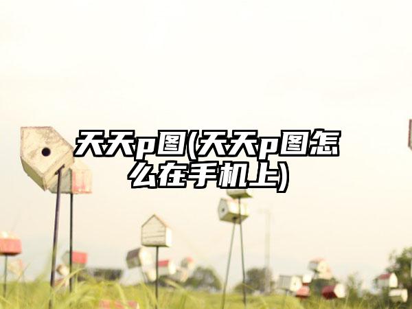 天天p图(天天p图怎么在手机上)