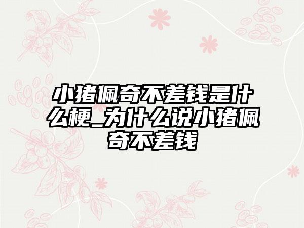 小猪佩奇不差钱是什么梗_为什么说小猪佩奇不差钱