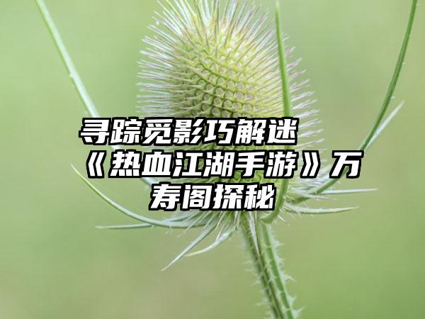 寻踪觅影巧解迷 《热血江湖手游》万寿阁探秘