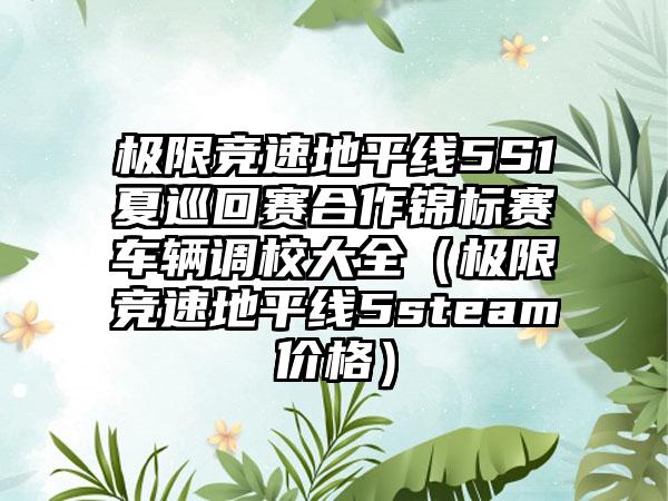 极限竞速地平线5S1夏巡回赛合作锦标赛车辆调校大全（极限竞速地平线5steam价格）