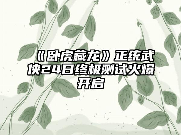 《卧虎藏龙》正统武侠24日终极测试火爆开启