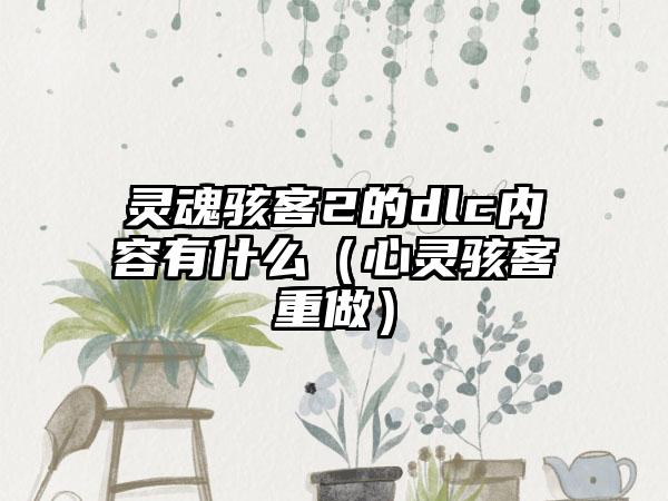 灵魂骇客2的dlc内容有什么（心灵骇客重做）