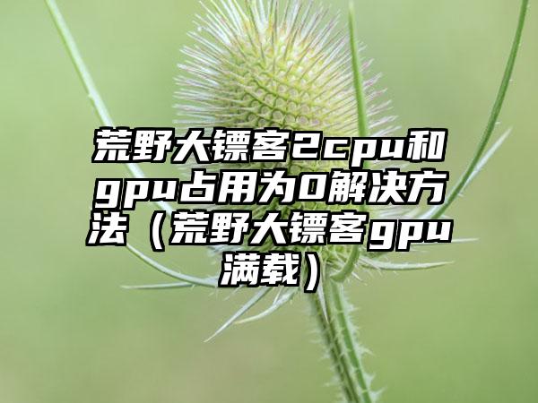 荒野大镖客2cpu和gpu占用为0解决方法（荒野大镖客gpu满载）