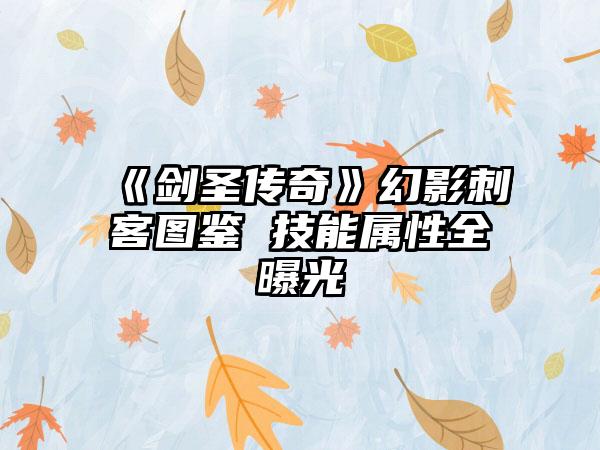《剑圣传奇》幻影刺客图鉴 技能属性全曝光