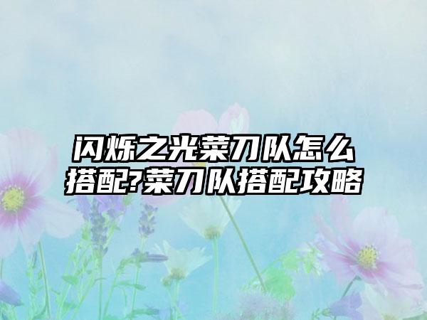 闪烁之光菜刀队怎么搭配?菜刀队搭配攻略