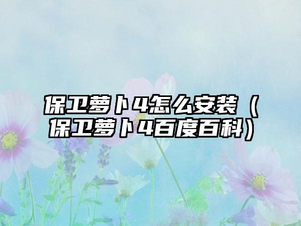 保卫萝卜4怎么安装（保卫萝卜4百度百科）