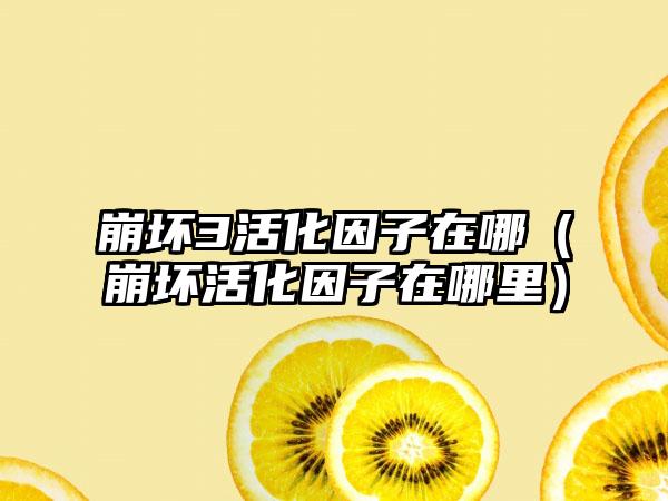 崩坏3活化因子在哪（崩坏活化因子在哪里）