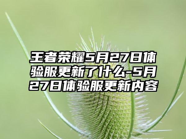 王者荣耀5月27日体验服更新了什么-5月27日体验服更新内容