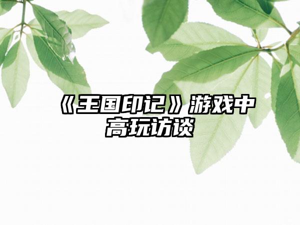 《王国印记》游戏中高玩访谈
