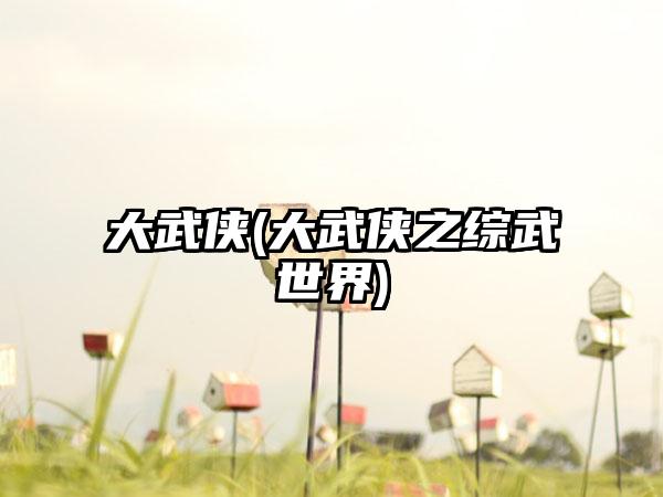 大武侠(大武侠之综武世界)
