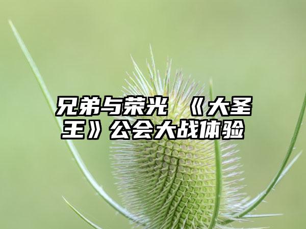兄弟与荣光 《大圣王》公会大战体验
