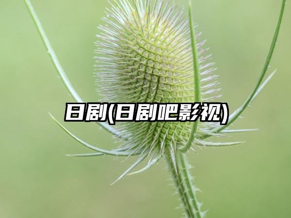 日剧(日剧吧影视)