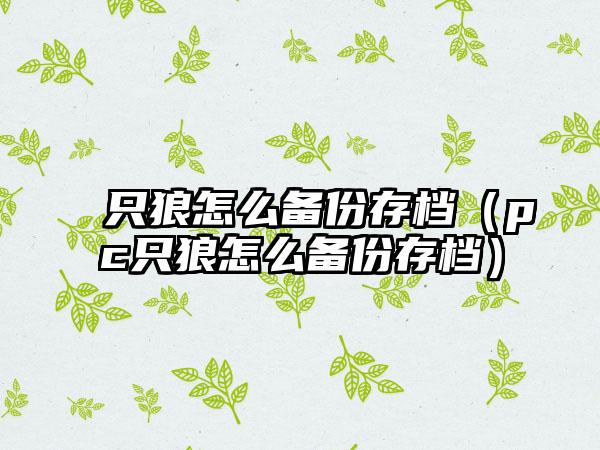 只狼怎么备份存档（pc只狼怎么备份存档）