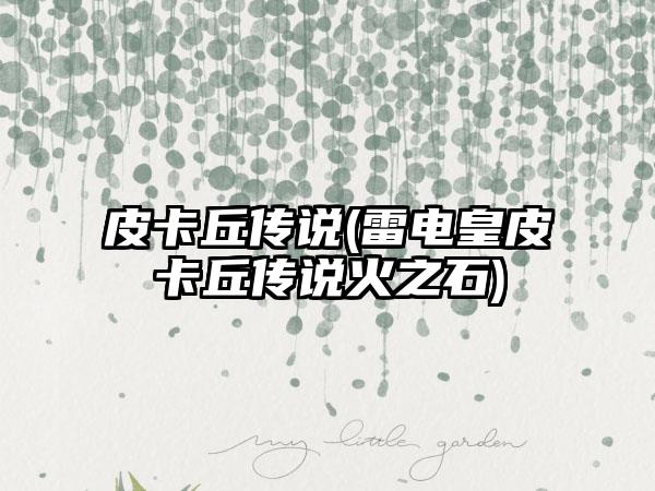 皮卡丘传说(雷电皇皮卡丘传说火之石)