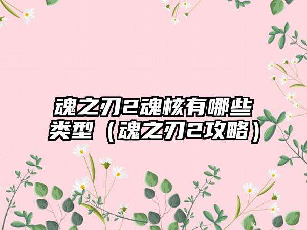 魂之刃2魂核有哪些类型（魂之刃2攻略）