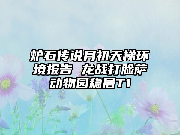 炉石传说月初天梯环境报告 龙战打脸萨动物园稳居T1