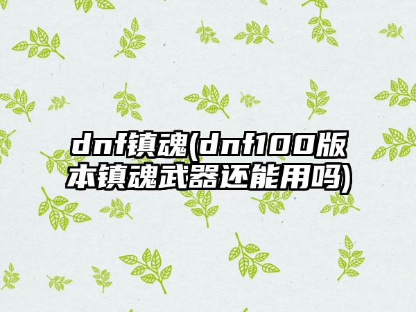 dnf镇魂(dnf100版本镇魂武器还能用吗)