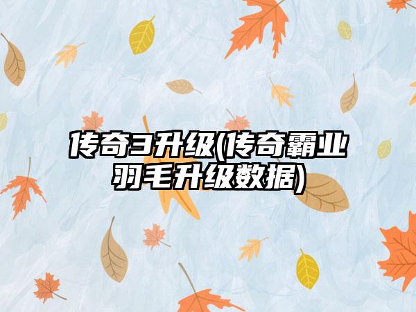 传奇3升级(传奇霸业羽毛升级数据)
