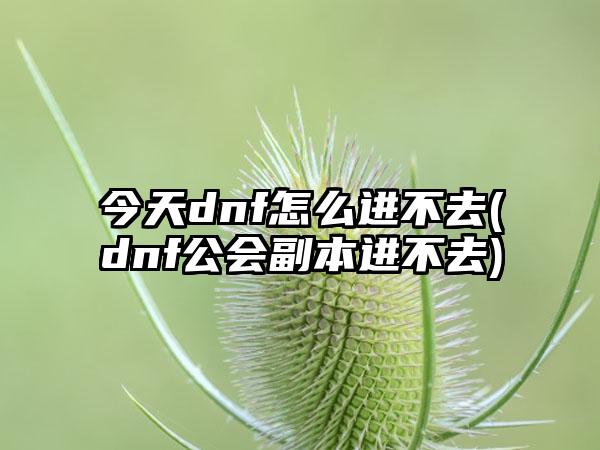 今天dnf怎么进不去(dnf公会副本进不去)