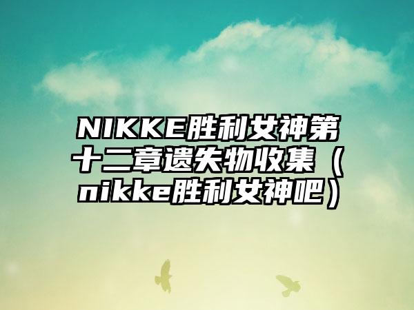 NIKKE胜利女神第十二章遗失物收集（nikke胜利女神吧）