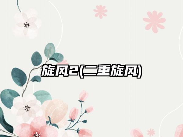 旋风2(二重旋风)