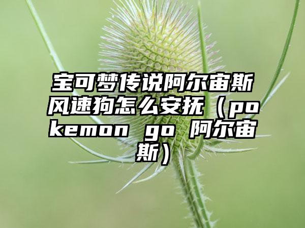 宝可梦传说阿尔宙斯风速狗怎么安抚（pokemon go 阿尔宙斯）
