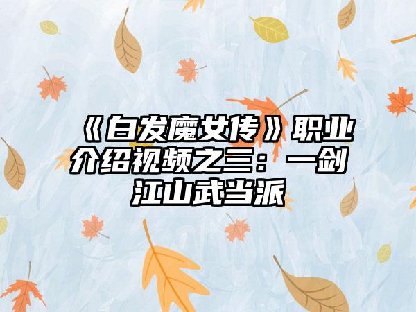 《白发魔女传》职业介绍视频之三：一剑江山武当派