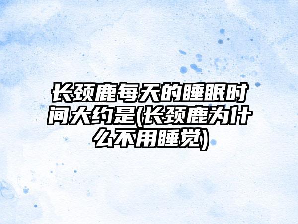 长颈鹿每天的睡眠时间大约是(长颈鹿为什么不用睡觉)