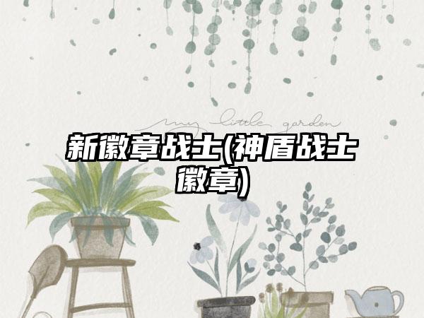 新徽章战士(神盾战士徽章)