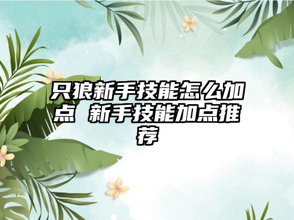 只狼新手技能怎么加点 新手技能加点推荐