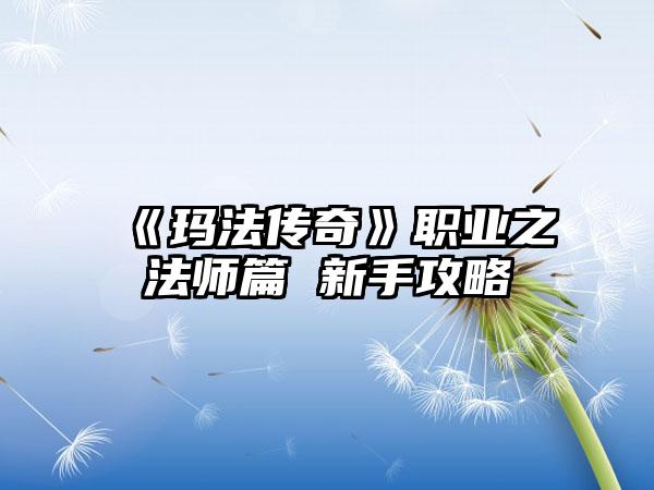 《玛法传奇》职业之法师篇 新手攻略